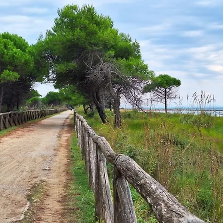 Apartment Amazing Beachfront Apartment-beahost Bibione